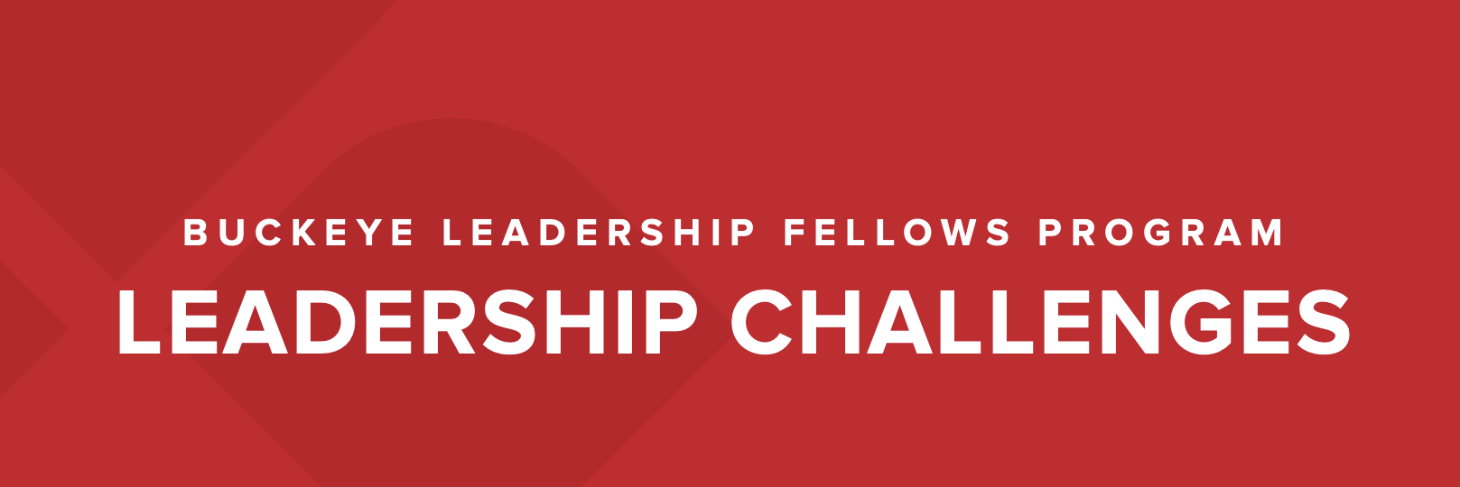 BLF Leadership Challenges